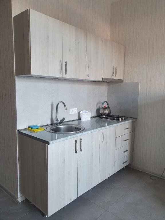 Бакуриани: Renting Apartment In Didveli Residence