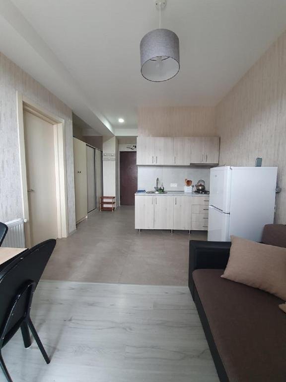 Бакуриани: Renting Apartment In Didveli Residence