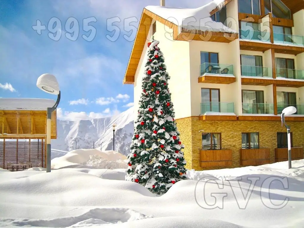 Гудаури: New Gudauri 312