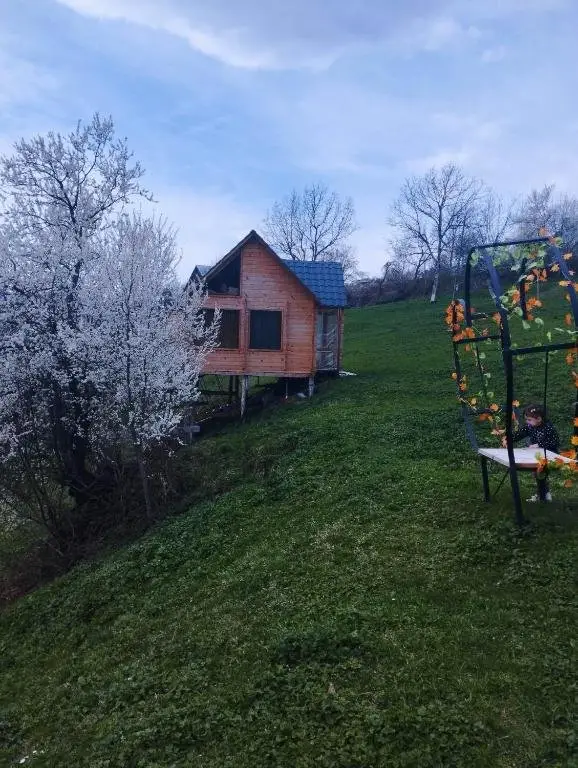 Деканашвилеби: SunHouse
