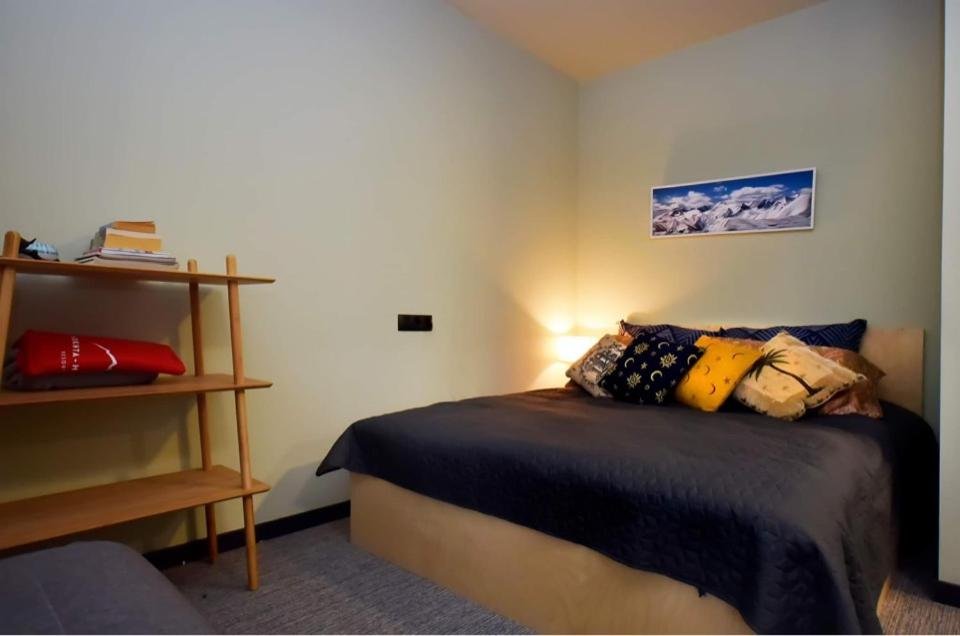 Бакуриани: Studio style Kokhta-Mitarbi Apartment in Bakuriani