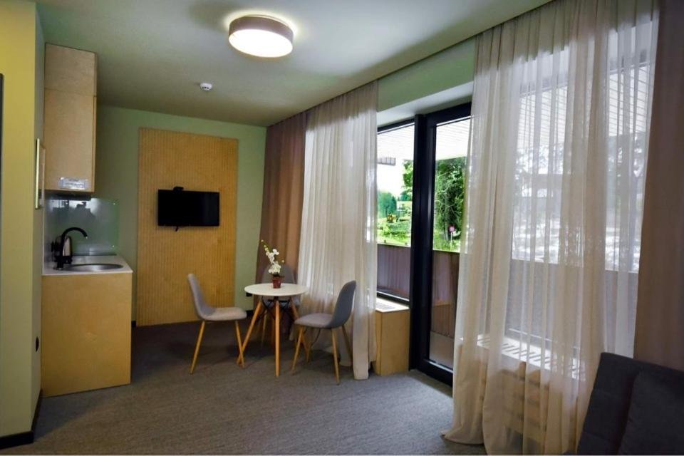 Бакуриани: Studio style Kokhta-Mitarbi Apartment in Bakuriani