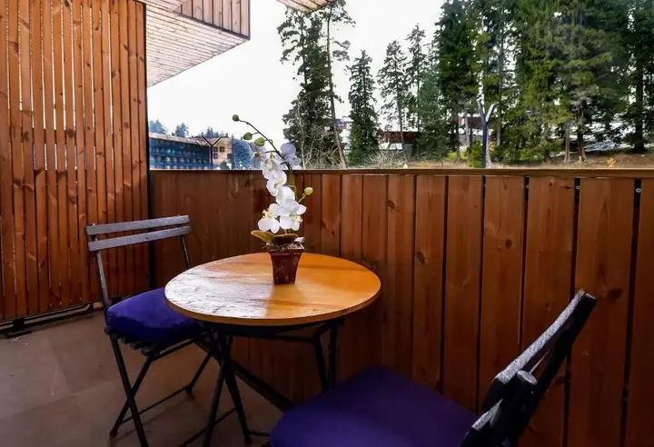 Бакуриани: Studio style Kokhta-Mitarbi Apartment in Bakuriani