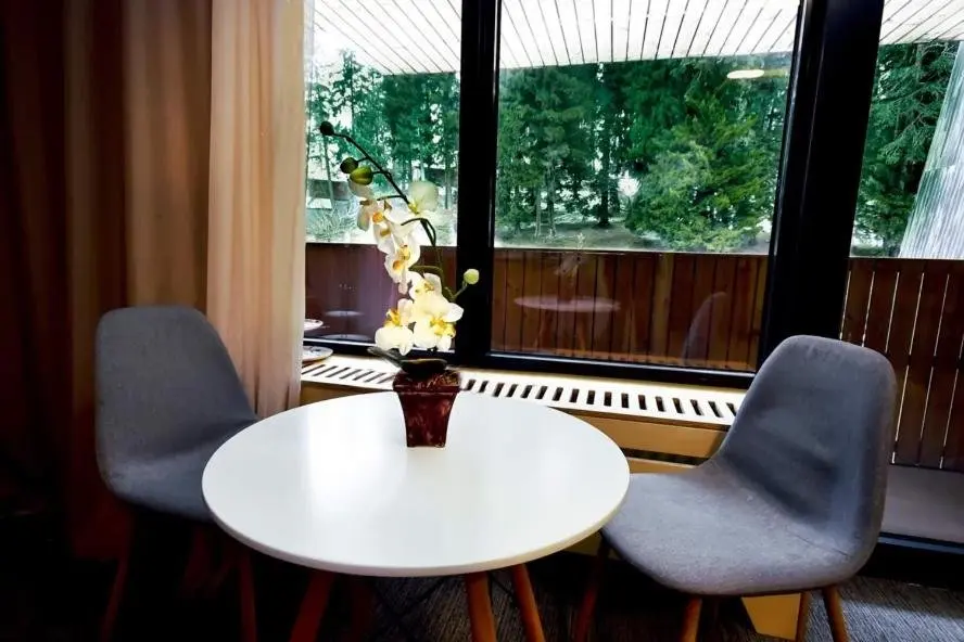 Бакуриани: Studio style Kokhta-Mitarbi Apartment in Bakuriani