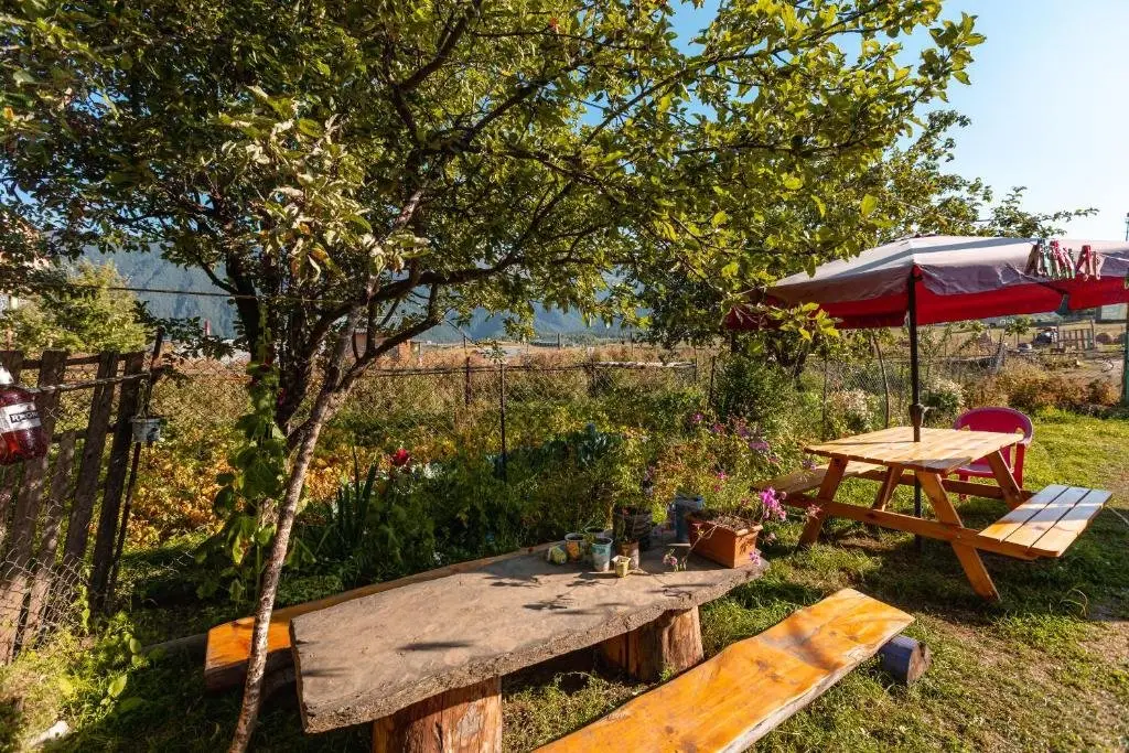 Омало: Guest House Nazo