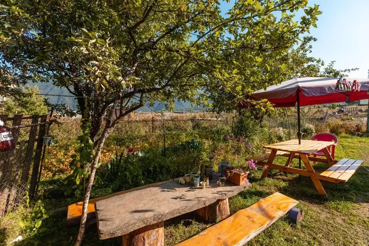 Омало: Guest House Nazo