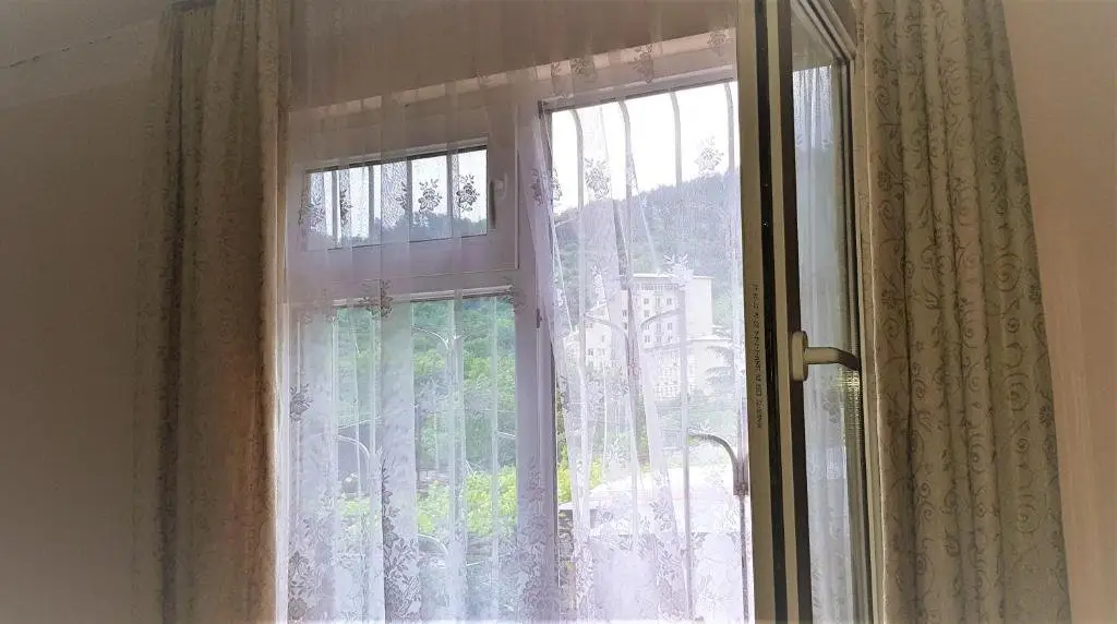 Боржоми: Apartment Sarajishvili
