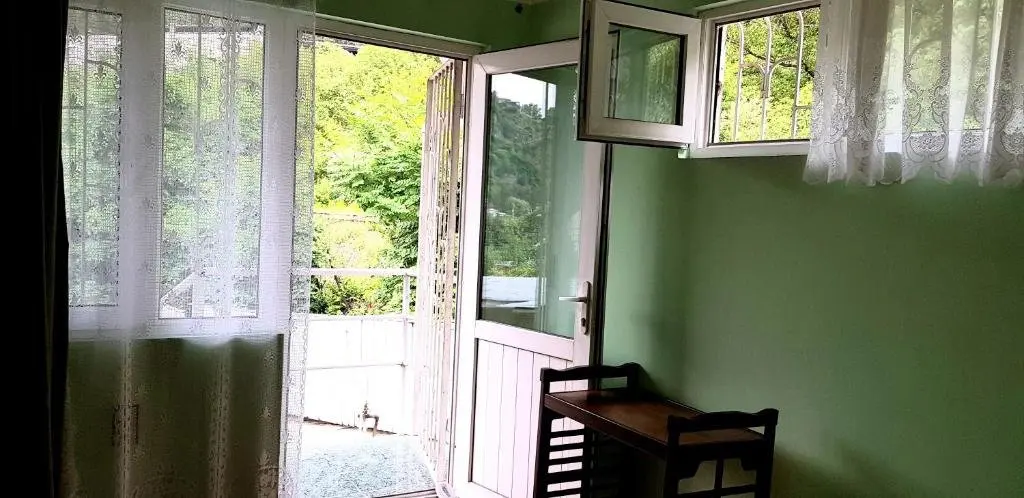 Боржоми: Apartment Sarajishvili