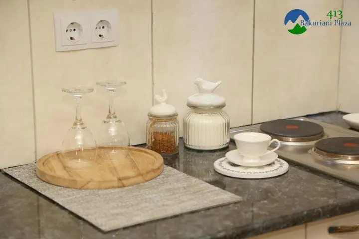 Бакуриани: Bakuriani Plaza B413