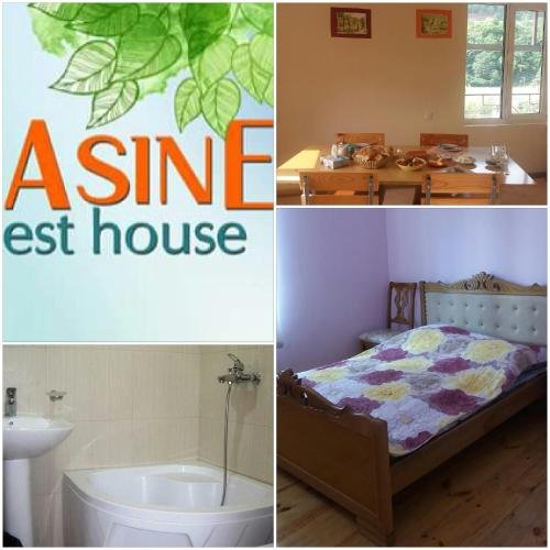 Дилижан: ASINE Guest House