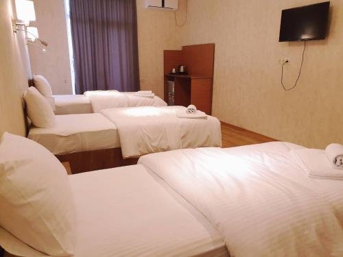 Зестафони: Black Sea hotel