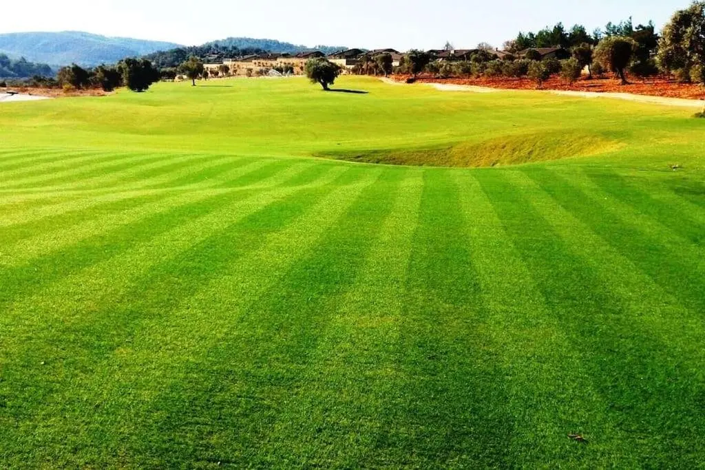 Бодрум: Regnum Golf Country