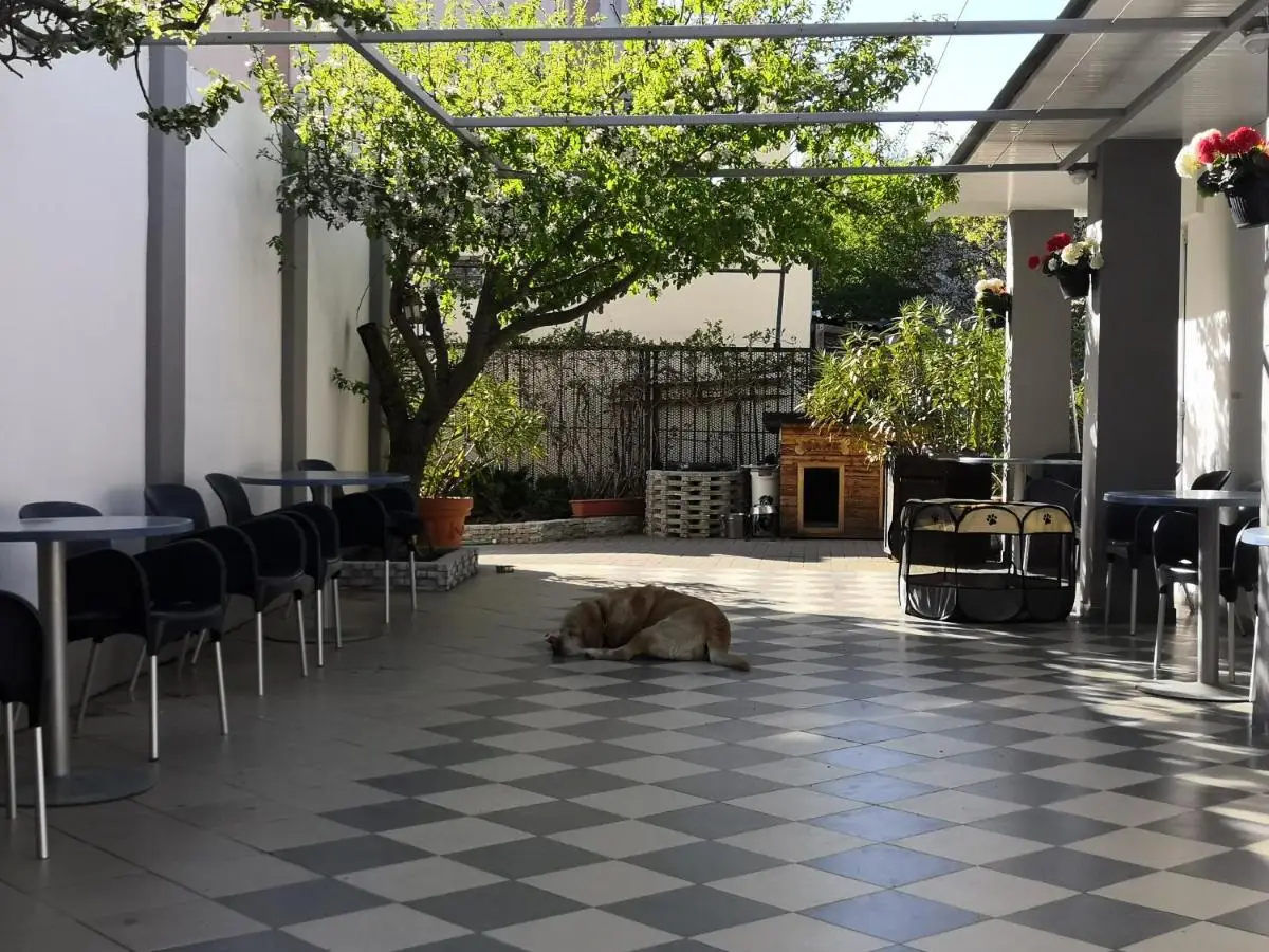 Геленджик: Mohito Guest House