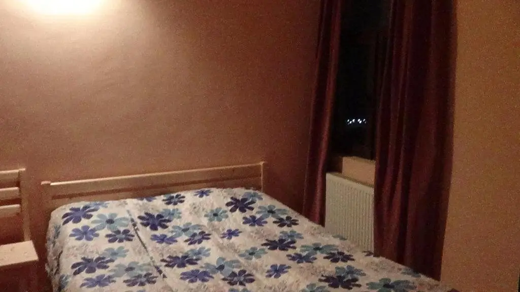 Бакуриани: Holiday Home Didveli