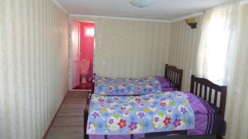 Ушгули: Guesthouse Ushguli Maspindzeli
