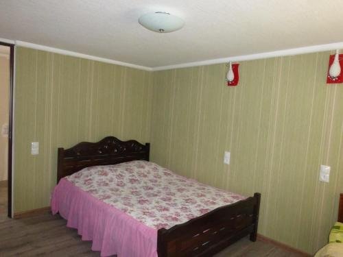 Ушгули: Guesthouse Ushguli Maspindzeli