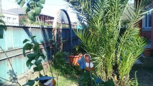 Поти: "Felix" hotel in the city of Poti, Near the sea