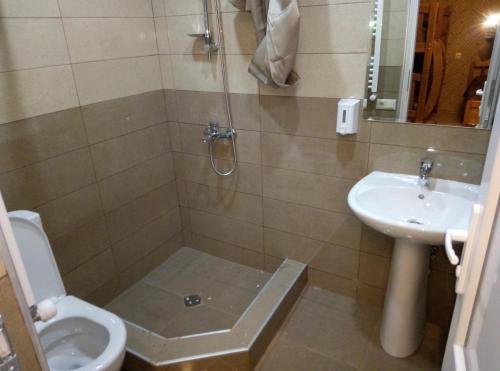 Душети: Hotel "Fichvnari" in Pasanauri