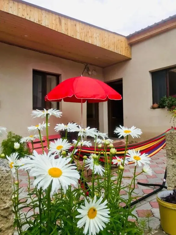 Сиони: Guesthouse and Cottage Nicolo