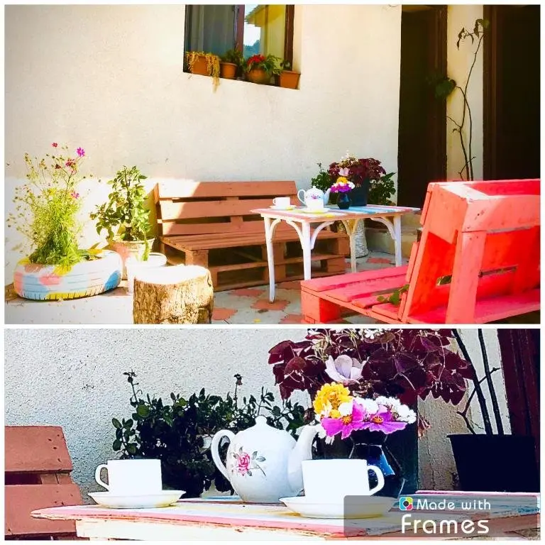 Сиони: Guesthouse and Cottage Nicolo