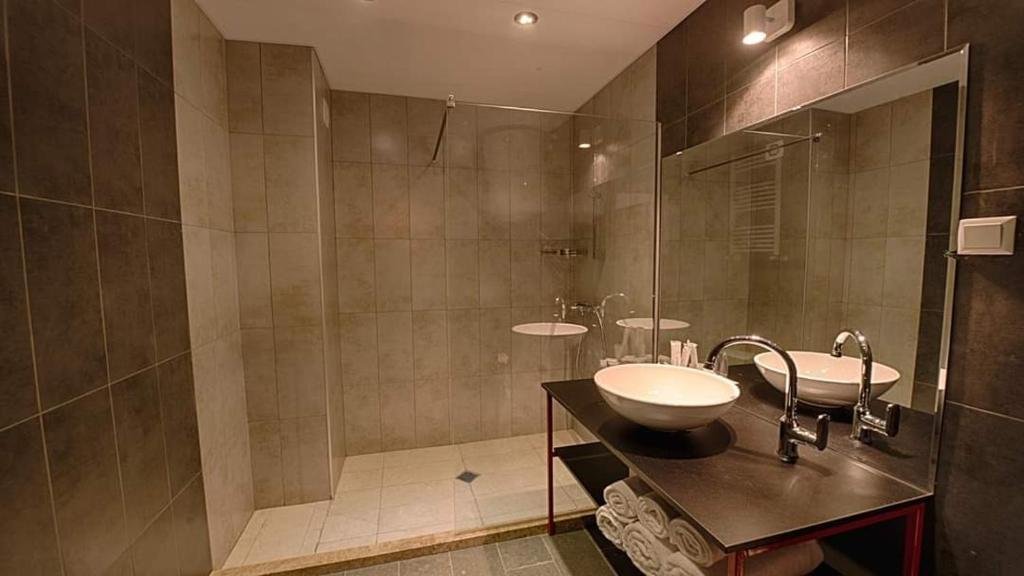 Бакуриани: Hotel Room Mgzavrebi 1
