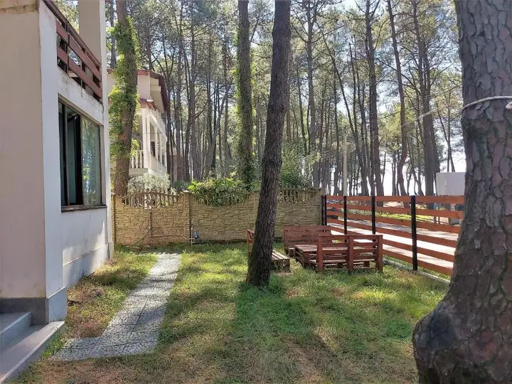 Уреки: Beachfront 4-bedroom home in Kaprovani pine forest
