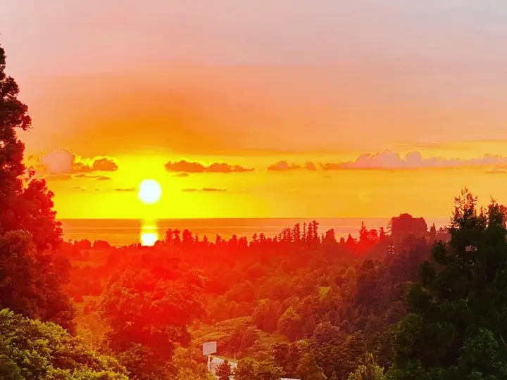 Махинджаури: Family Hotel Sunset