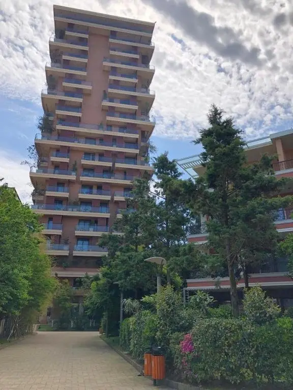 Чакви: Leo Group BEST STUDIO 1504 Dreamland Oasis CHAKVI