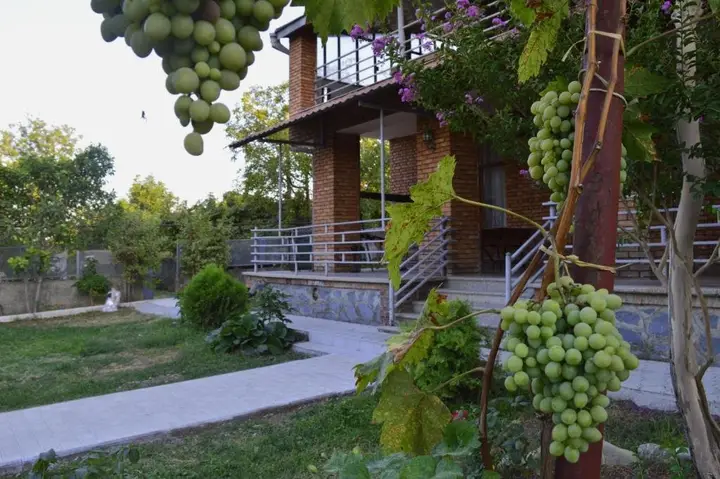 Цинандали: Tsinandali Family House