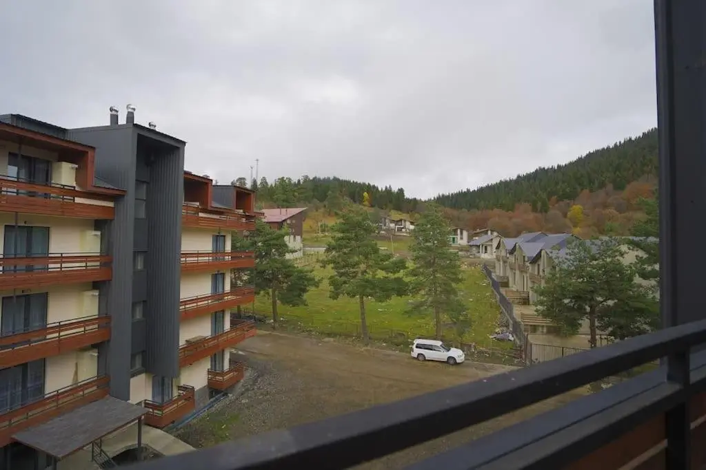 Бакуриани: LEO GROUP Luxury Apartment 04-32 BAKURIANI INN