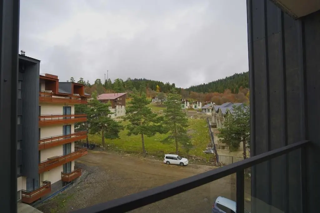 Бакуриани: LEO GROUP Luxury Apartment 04-32 BAKURIANI INN