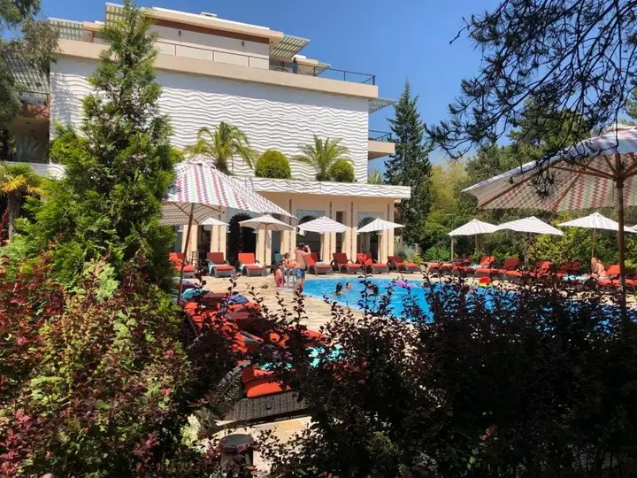 Чакви: Leo Group BEST STUDIO 1101 Dreamland Oasis CHAKVI