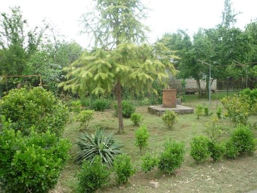 Зугдиди: Mari-Lizi Zugdidi House