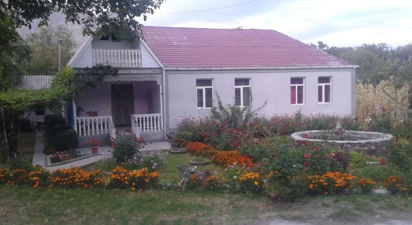 Вардзиа: Imedi