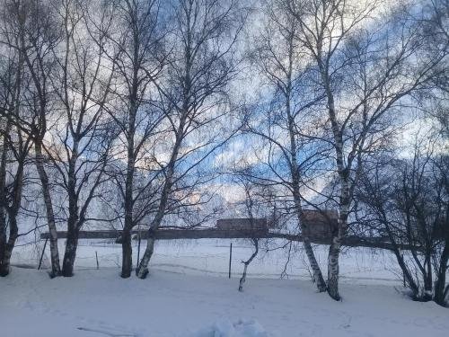 Сиони: Qabarjina