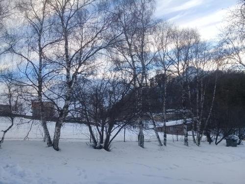 Сиони: Qabarjina