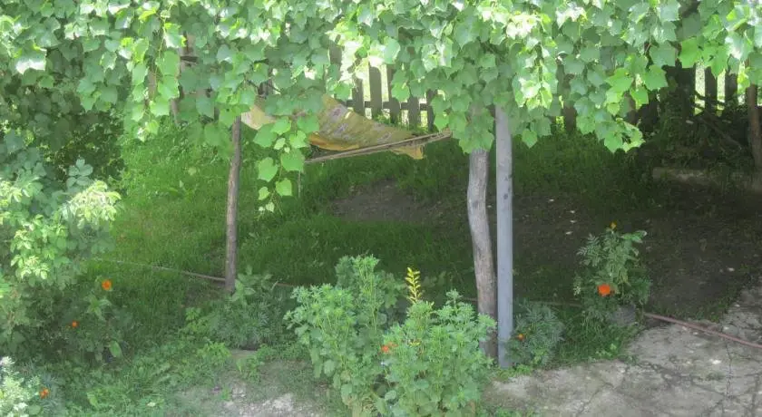 Местиа: Guest House in Latali