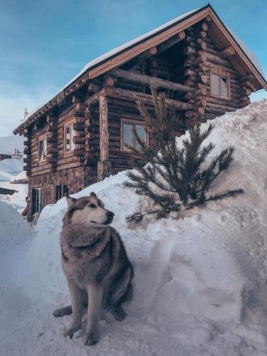 Гудаури: Aparthotel 4 Stars Gudauri