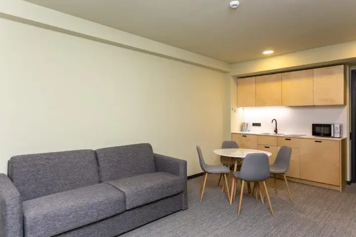 Бакуриани: Hotel Quality One BR Apartment For 4 In Bakuriani