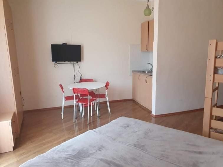 Бакуриани: 1 studio room apartment in bakuriani