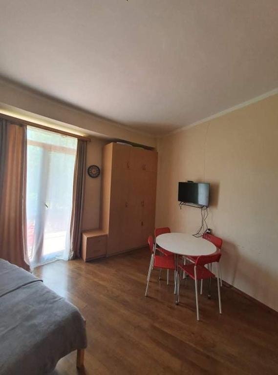 Бакуриани: 1 studio room apartment in bakuriani