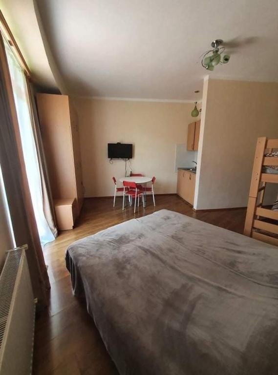 Бакуриани: 1 studio room apartment in bakuriani