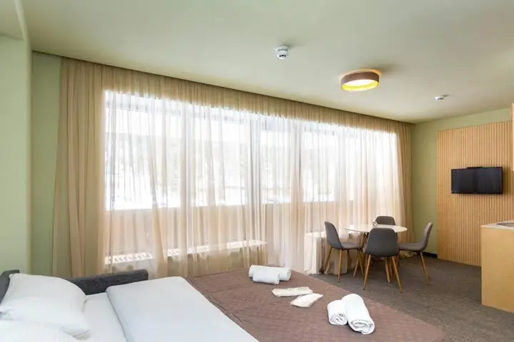 Бакуриани: cozy studio aptartment next to rooms hotel in the hills of beautiful bakuriani