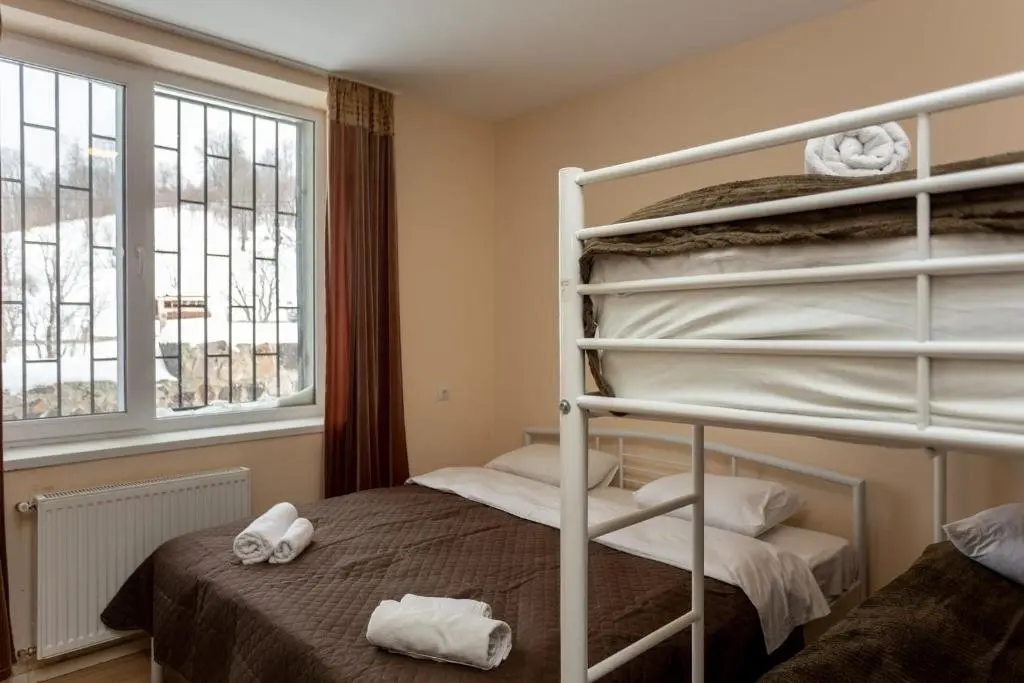 Бакуриани: glamorous 1br apartment for 4 in bakuriani