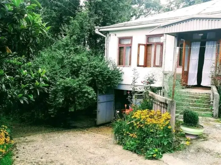 Цихисдзири: Jemali Mikeladze