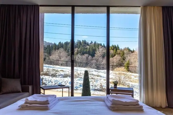 Бакуриани: Didveli gallery apartament A-101