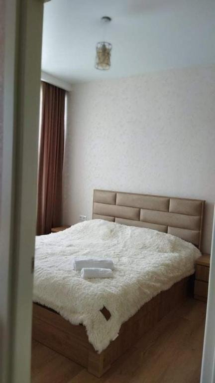 Бакуриани: Trialeti Residence N1 Bakuriani