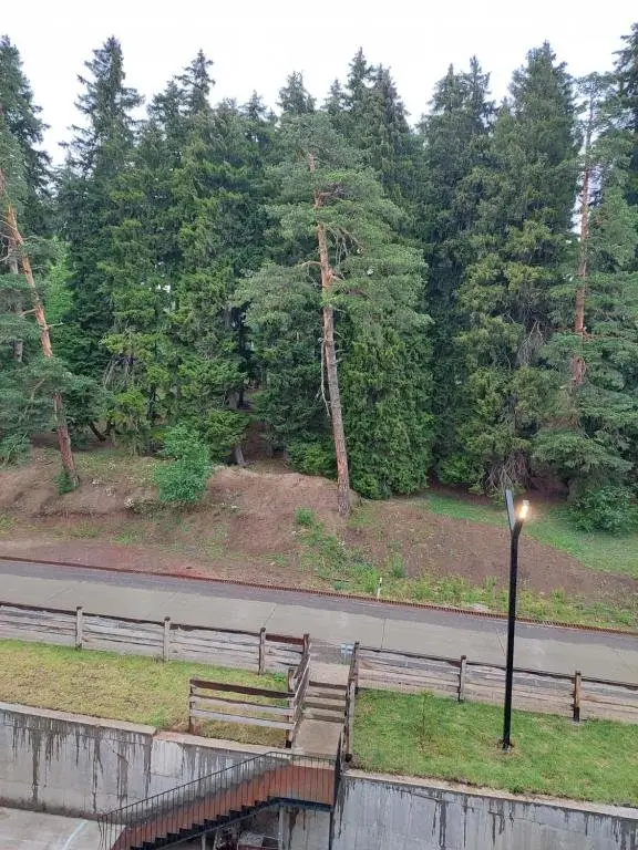 Бакуриани: Bakuriani Kokhta Mitarbi Resort 64