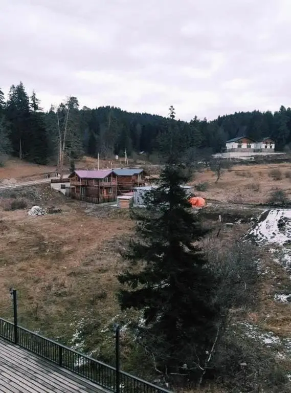 Бакуриани: Mgzavrebi 10 Aparthotel Room 311 Dj