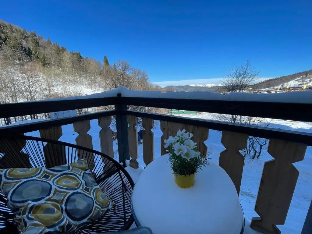 Бакуриани: Bakuriani Didveli Residence D 11